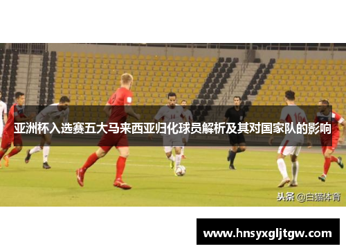 亚洲杯入选赛五大马来西亚归化球员解析及其对国家队的影响
