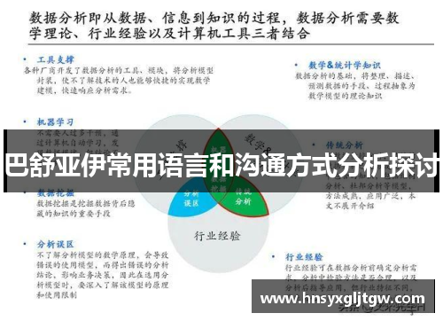 巴舒亚伊常用语言和沟通方式分析探讨